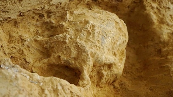 3D Digital Record of the Excavation Process of Ancient Human Skulls